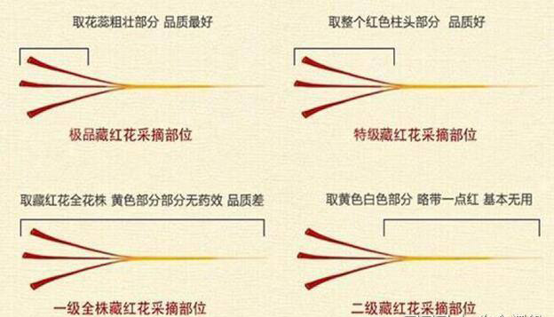 伊朗藏红花价格多少钱一克