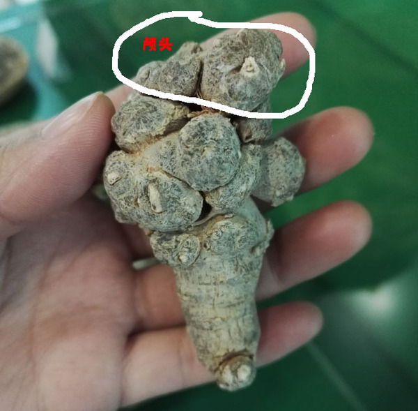 带帽三七到底能不能买？揭秘背后的骗局